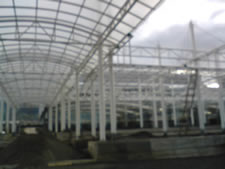 DSC00010