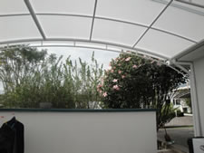 DSC00981