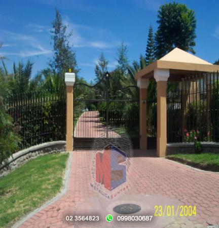 Catalogo puertas: Puertas Semi Abiertas:  >PSA003