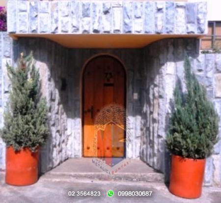 Catalogo puertas: Puertas Mixtas:  >PM005